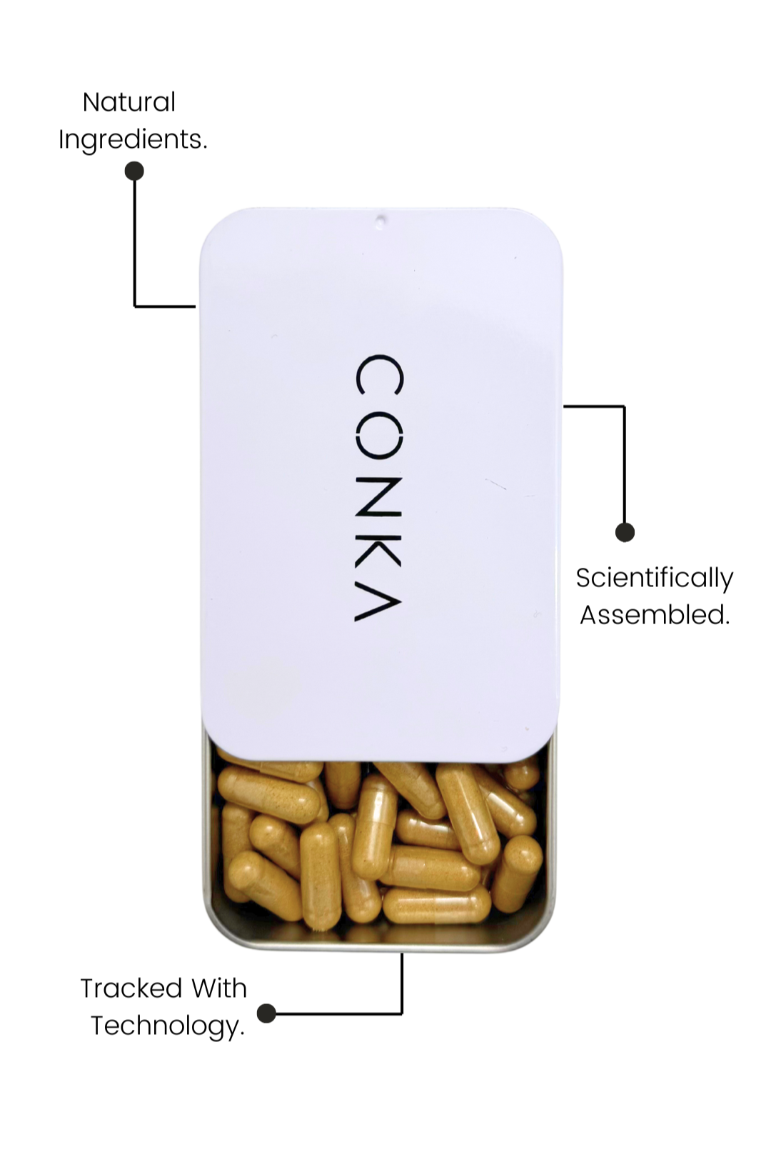 Capsules 12 Month Plan