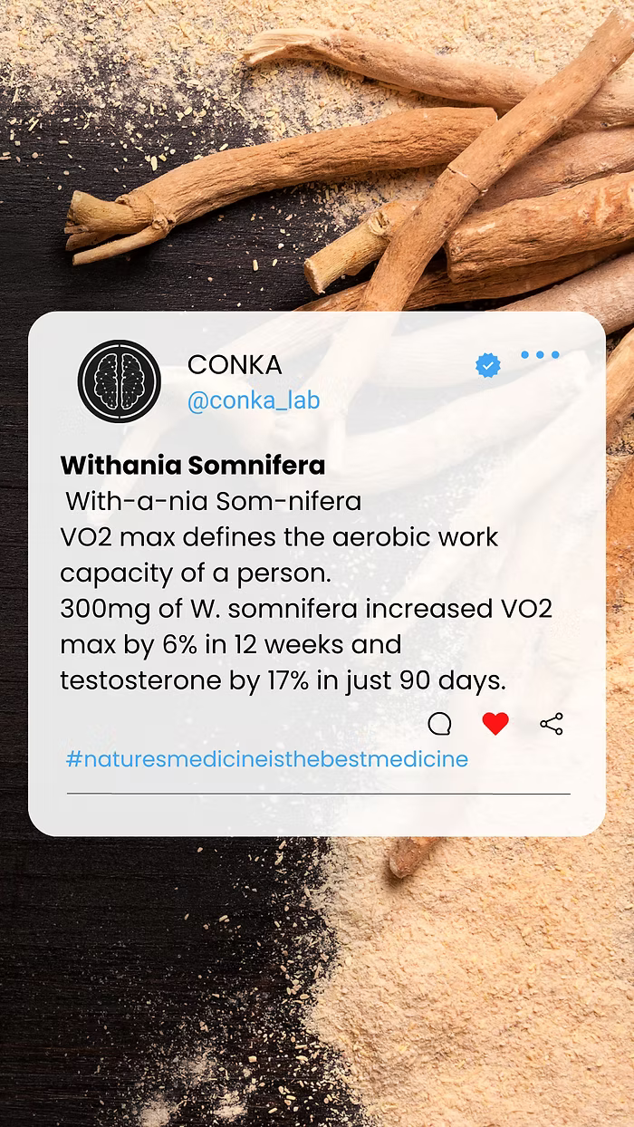 ChC5-1-CONKA-Formula-Component-no1. CONKA