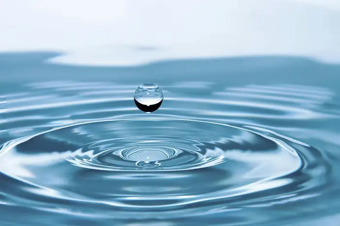 The-Hidden-Cost-of-Dehydration-How-It-Impacts-Your-Brain CONKA