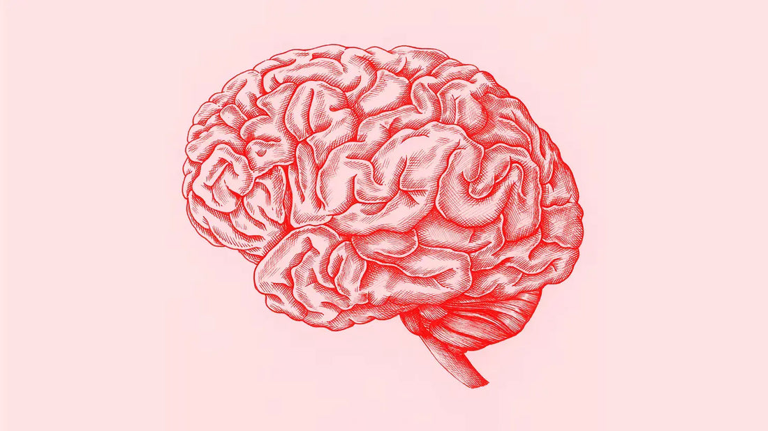 How-to-Build-a-Brain-Boosting-Morning-Routine CONKA