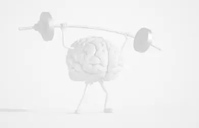 Brain-Health-Habits-A-Daily-Routine-to-Optimise-Mental-Performance CONKA