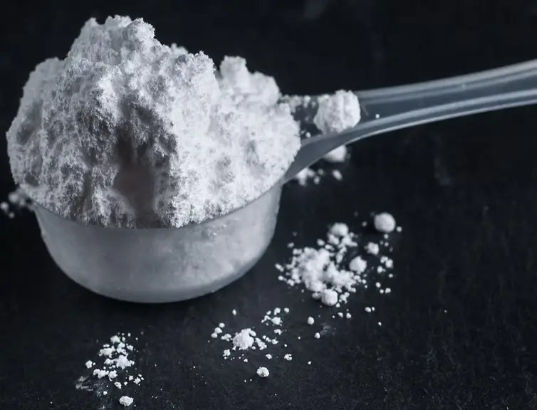 Creatine-for-the-Brain-More-Than-Just-Muscle CONKA